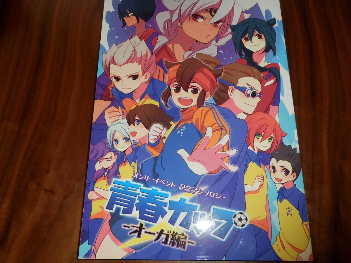 ヤフオク イナズマイレブン 青春カップ オーガ編 オンリ ヤフオク イナズマイレブン 青春カップ オーガ編 オンリ