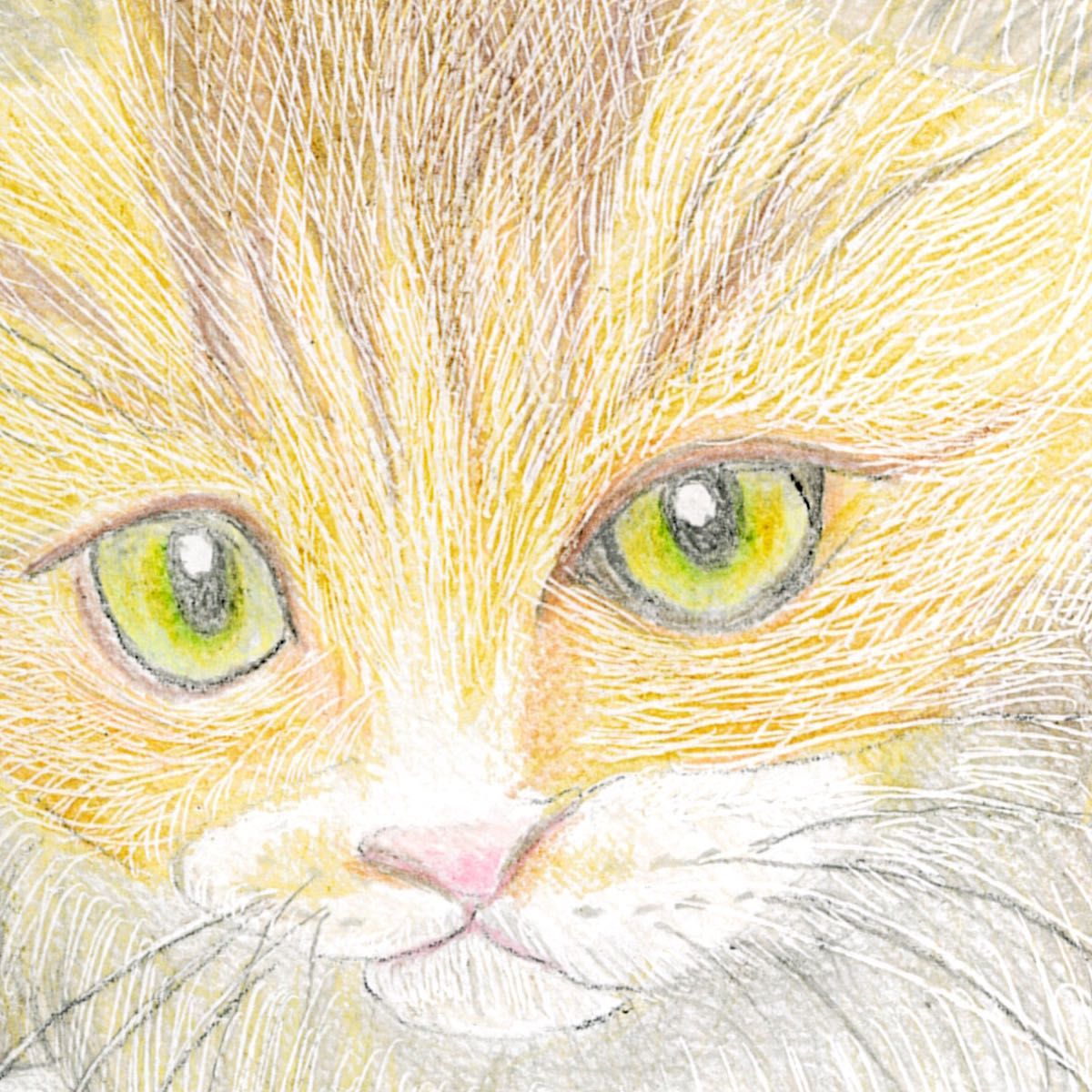 鉛筆画「戯れ合う猫」A4サイズ 原画 直筆 手描きイラスト|Yahoo 鉛筆画「戯れ合う猫」A4サイズ 原画 直筆 手描きイラスト|Yahoo