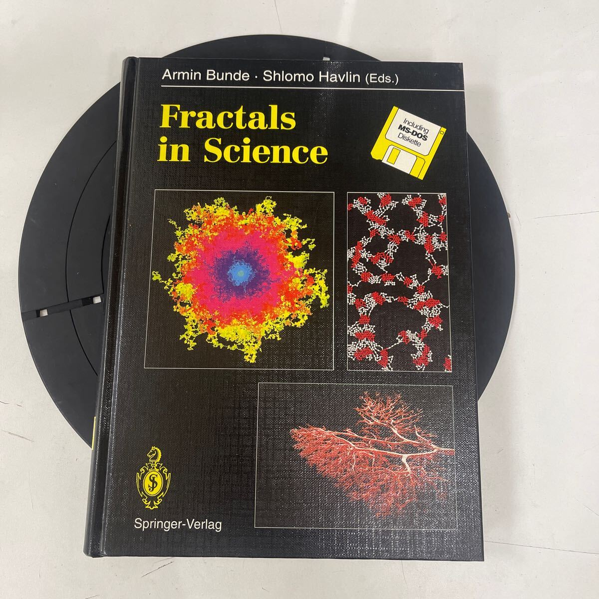 HG630 45. Fractals in Science by Armin Bunde. 本