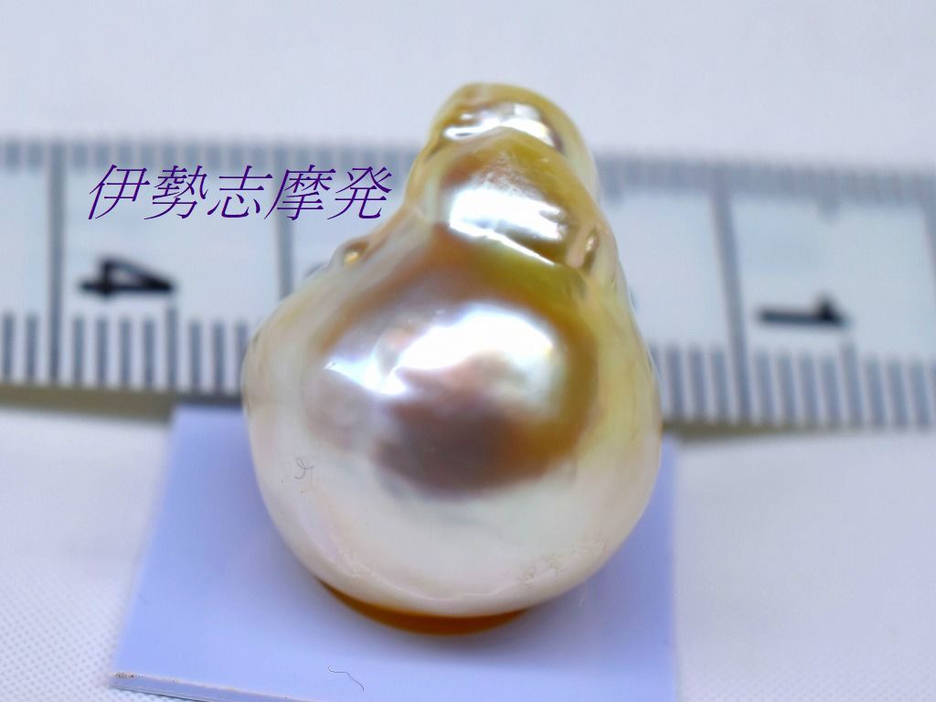 最終決算 ◇伊勢志摩発◇希少【魅惑の白蝶真珠ジャンボバロック】21,3㎜ 真珠