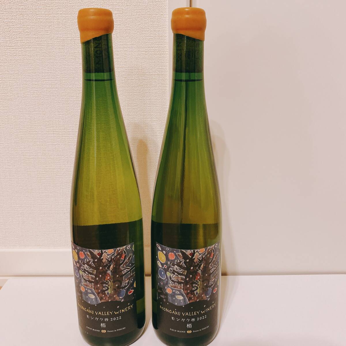 モンガク谷ワイナリー栢2022 2本セット750ml 12.5% MONGAKU モンガク谷ワイナリー栢2022 2本セット750ml 12.5% MONGAKU