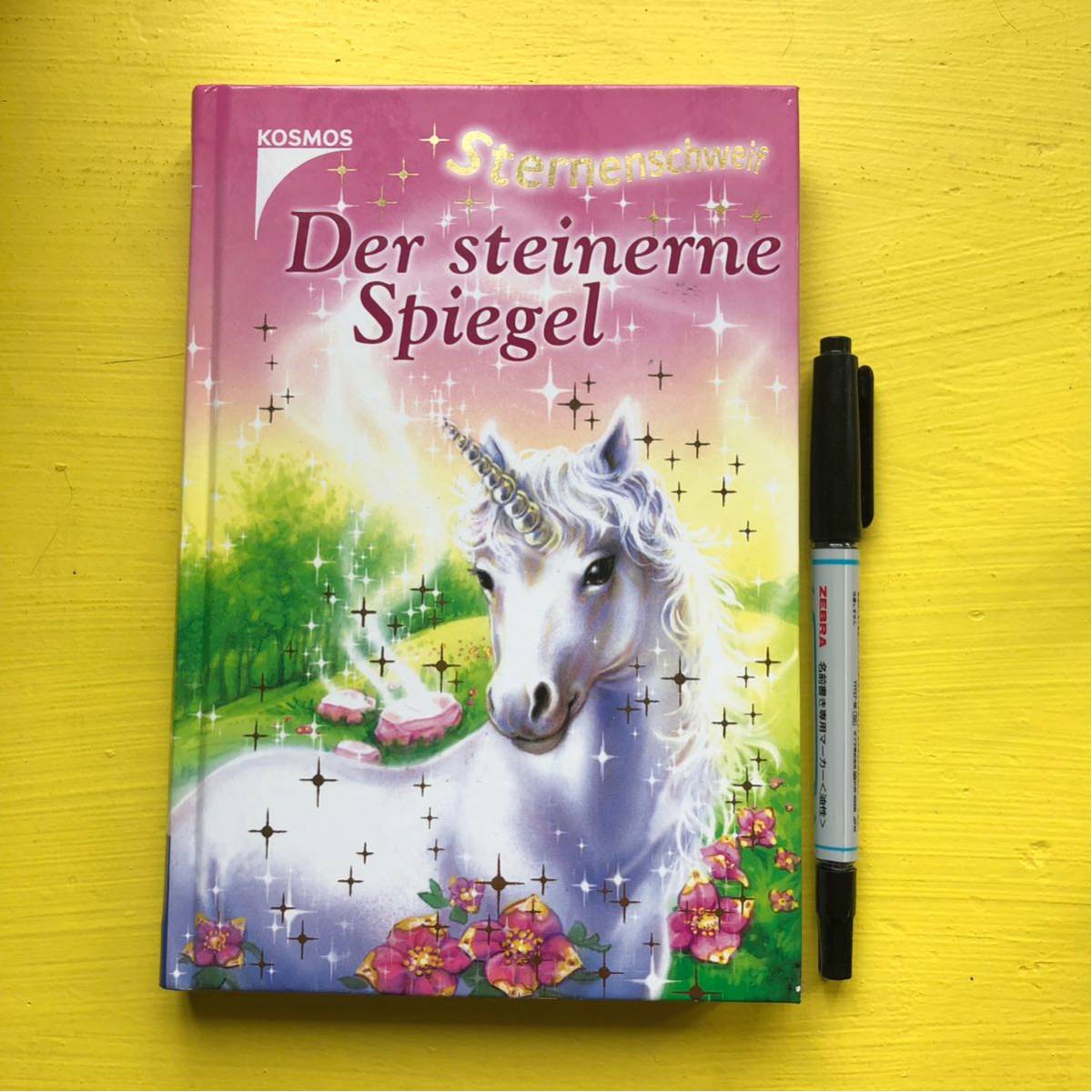 ドイツ語子供本 Der Steinerne Spiegel ハードカバー_画像1