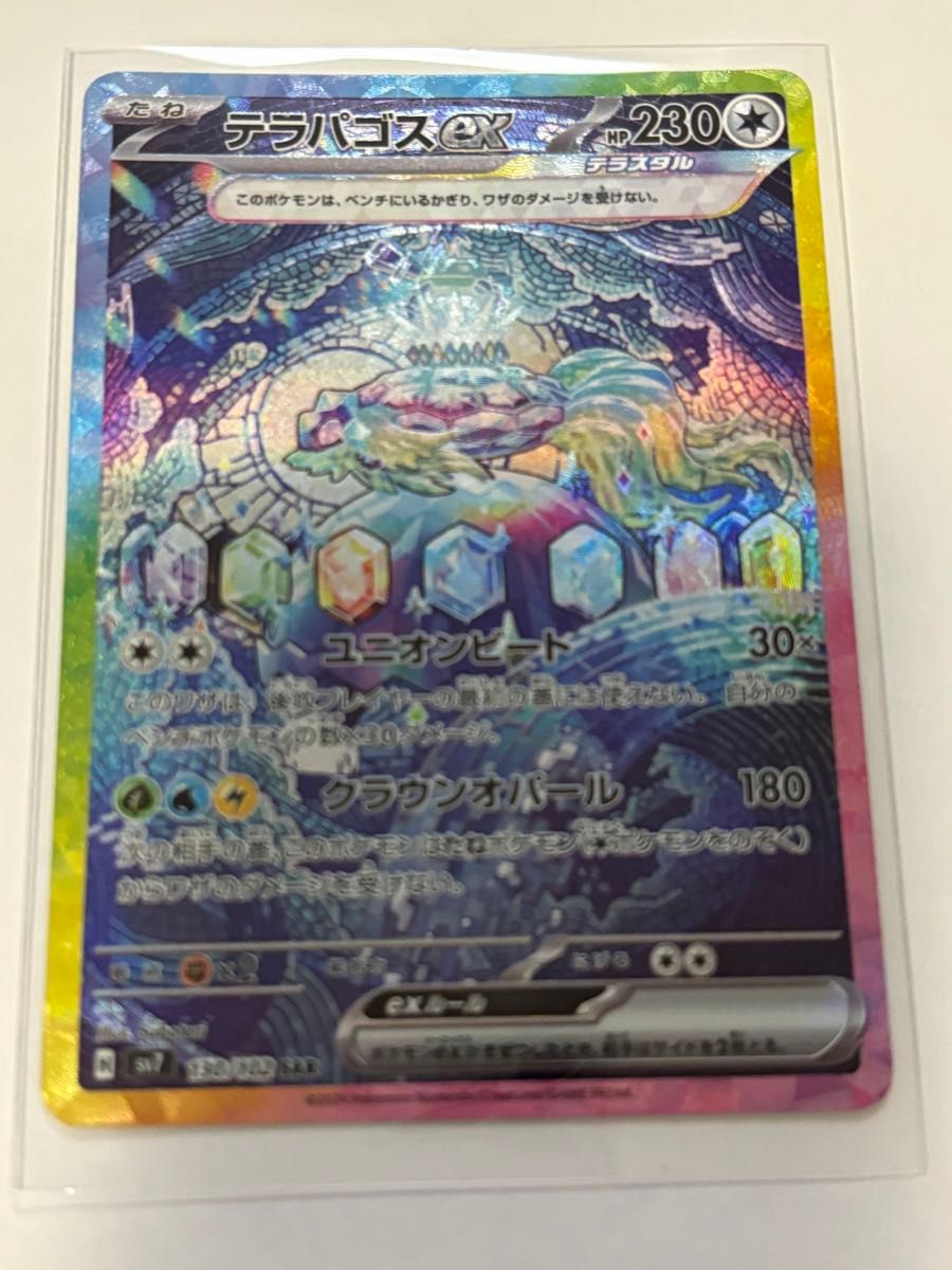 ポケモンカード テラパゴスex sar SAR ステラミラクル ポケカ ポケモンカード テラパゴスex sar SAR ステラミラクル ポケカ