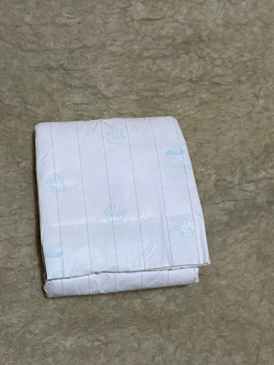 イチゴシェイク様専用】【旧品 廃盤バラオムツ ビッグ ビッグ イチゴシェイク様専用】【旧品 廃盤バラオムツ ビッグ ビッグ