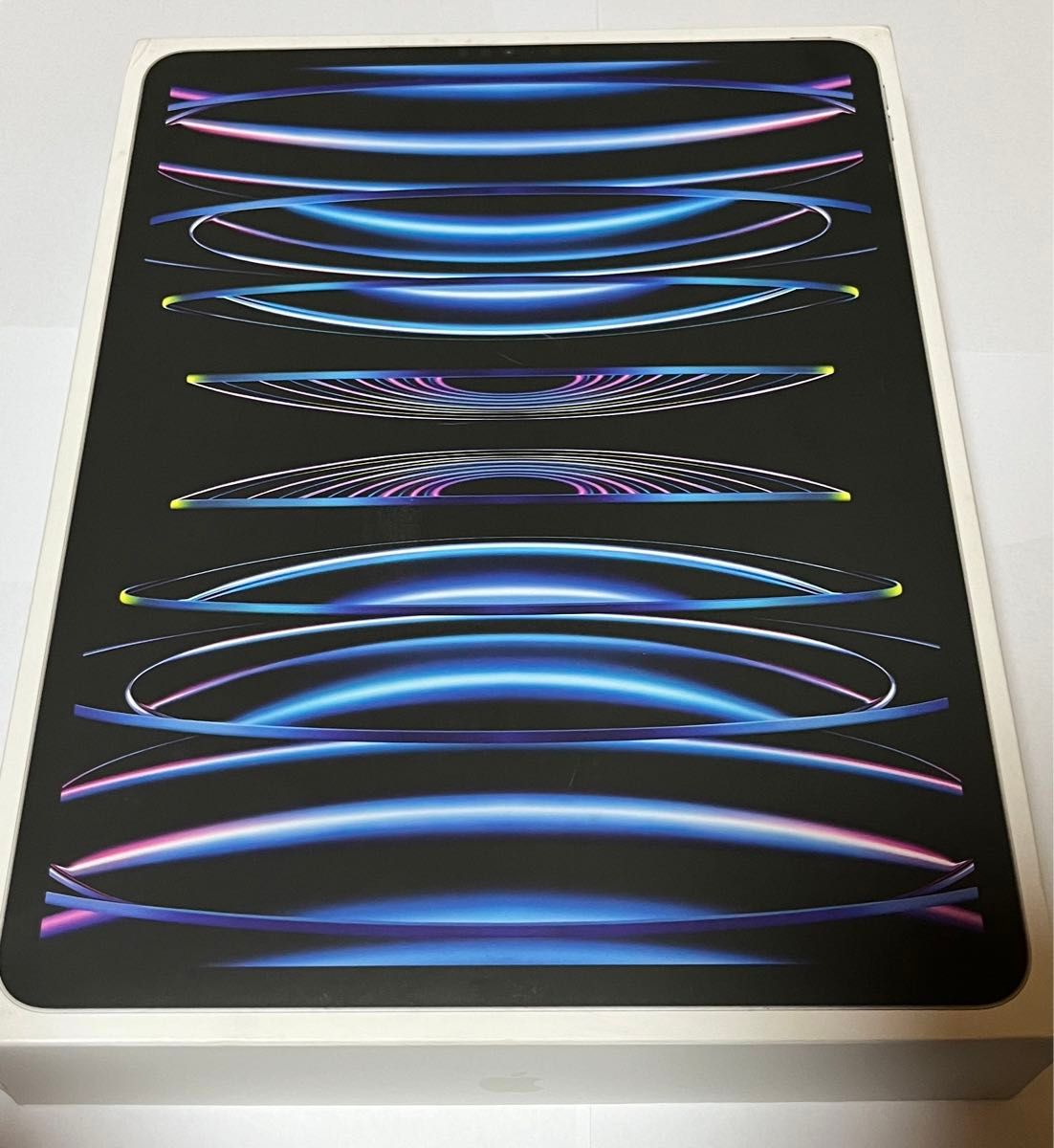 iPad Pro 12 9インチ 第6世代 Wi-Fi + Cellular SIMフリー iPad Pro 12 9インチ 第6世代 Wi-Fi + Cellular SIMフリー