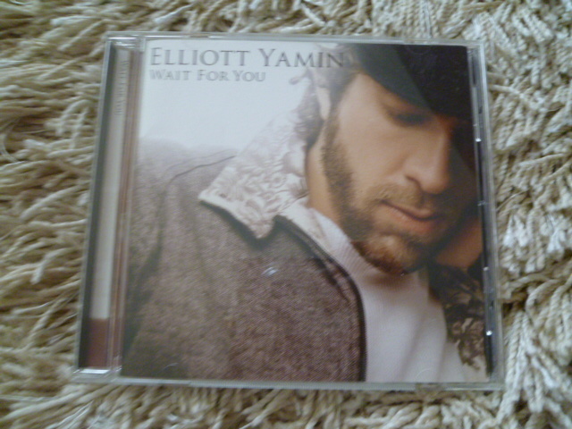 エリオットヤミン　ELLIOTT YAMIN 「WAIT　FOR　YOU」　CDアルバム_画像1