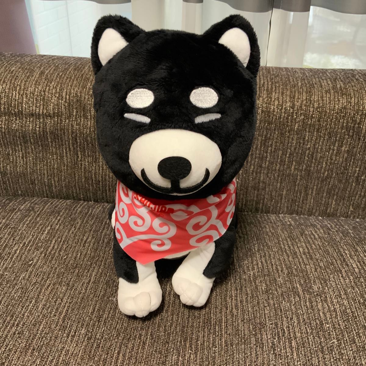 柴犬ヘッドカバー 黒柴そうたろう|Yahoo!フリマ(旧PayPayフリマ) 柴犬ヘッドカバー 黒柴そうたろう|Yahoo!フリマ(旧PayPayフリマ)