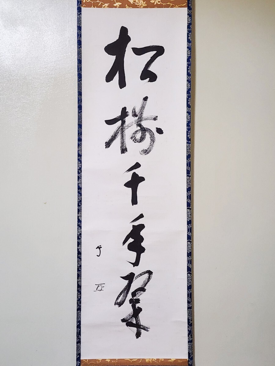 さくら【茶道具】武者小路千家 有隣斎筆 「松風」色紙 軸 B745、637 武者小路千家(官休庵) 十三代 有隣斎宗守 露暖南枝花始開 紙本
