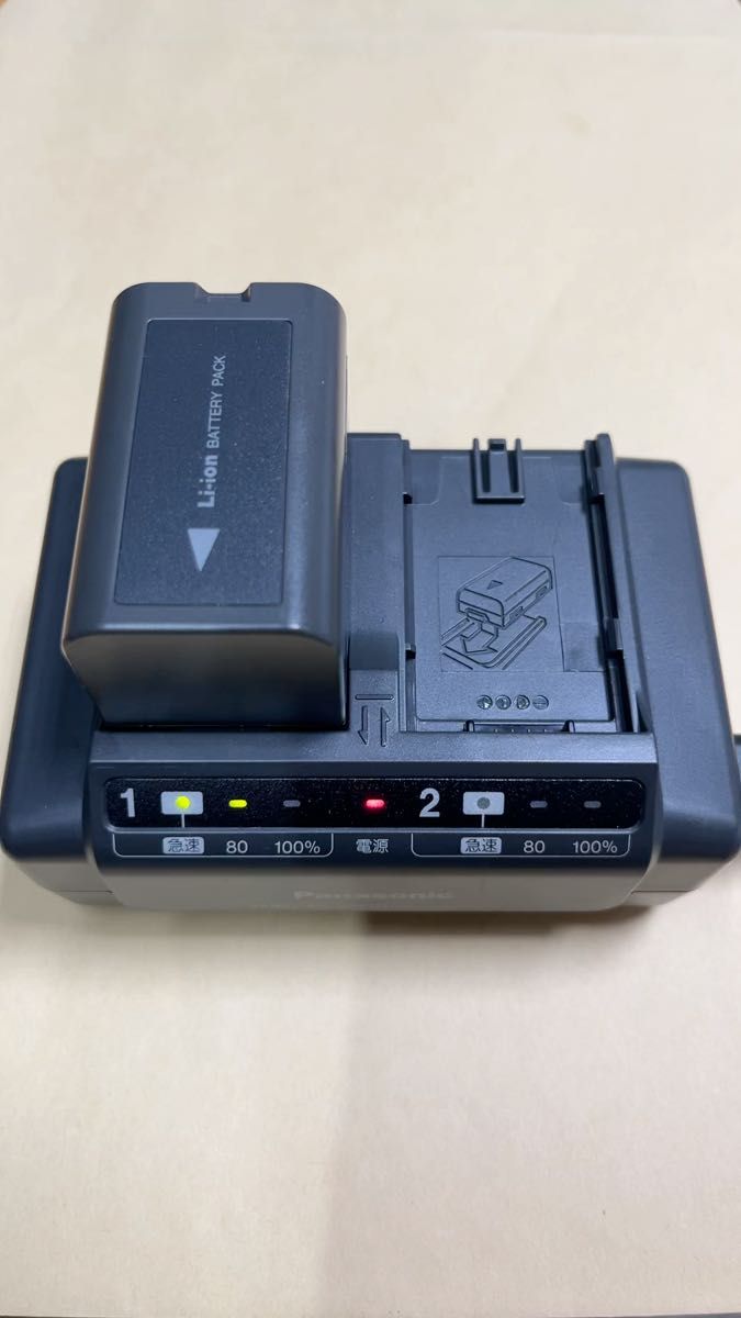 ACアダプター(充電器)VW-AD9とバッテリーパックVW-VBD33