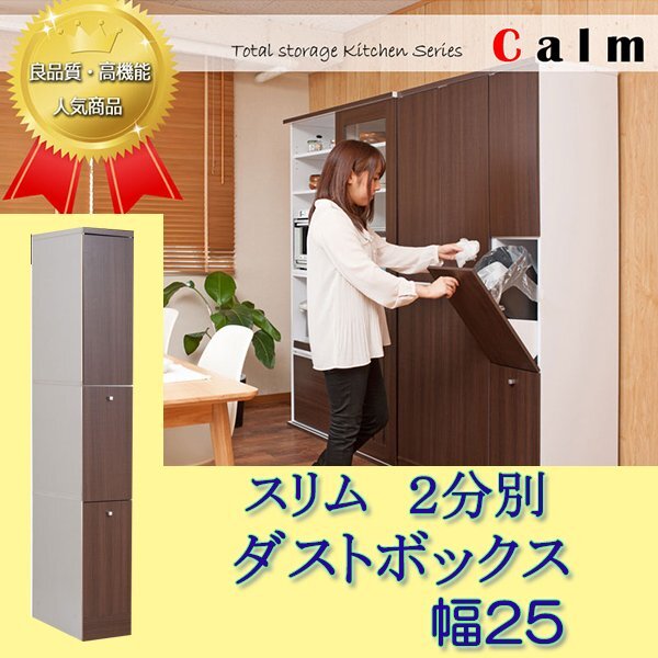 キッチンシリーズCalm ダストボックス スリム 2分別 幅25 ダーク キッチンシリーズCalm ダストボックス スリム 2分別 幅25 ダーク