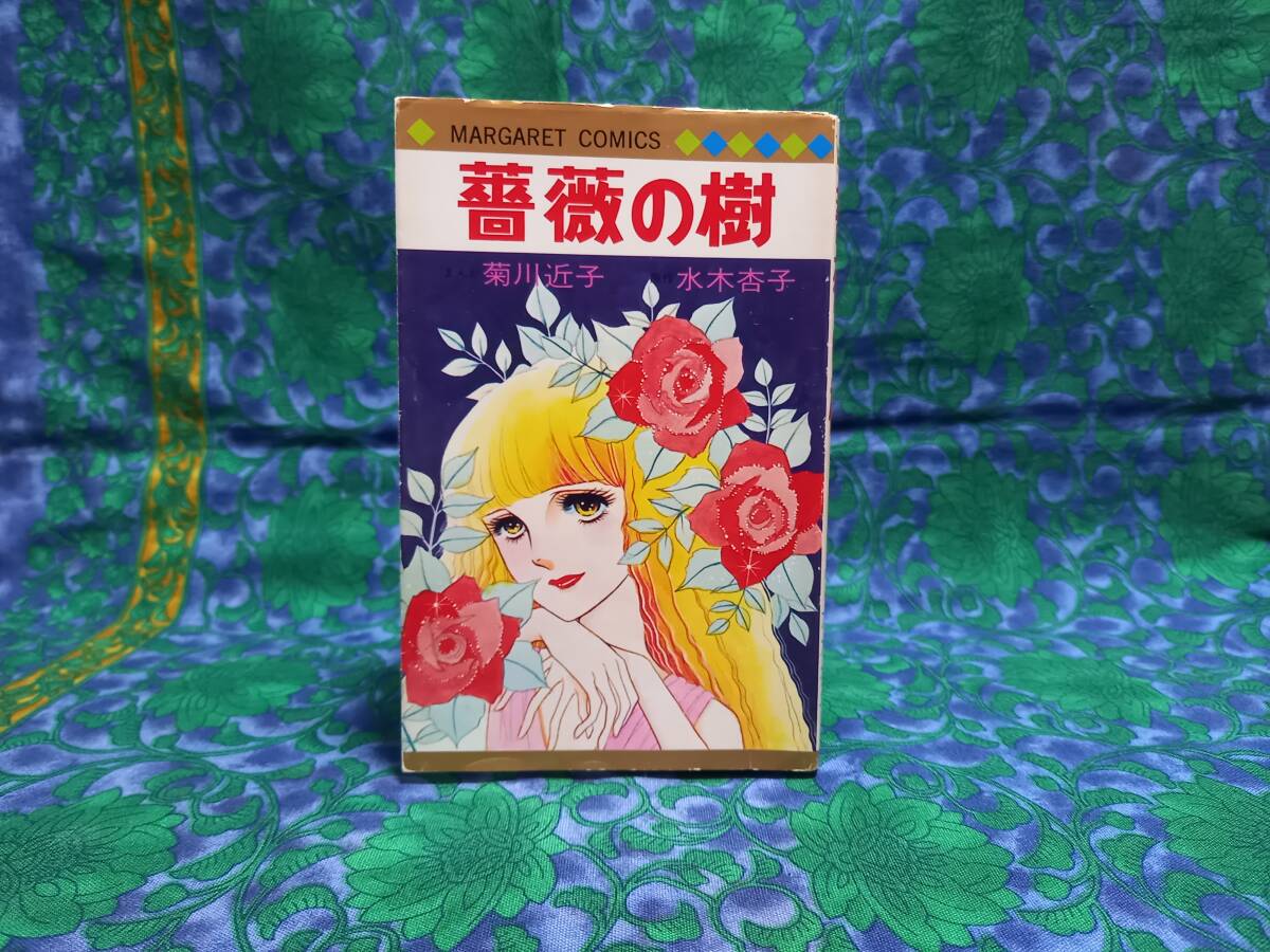 Yahoo!オークション - 菊川近子 蝶よ美しく舞え 全4巻 初版2冊 Yahoo!オークション - 菊川近子 蝶よ美しく舞え 全4巻 初版2冊