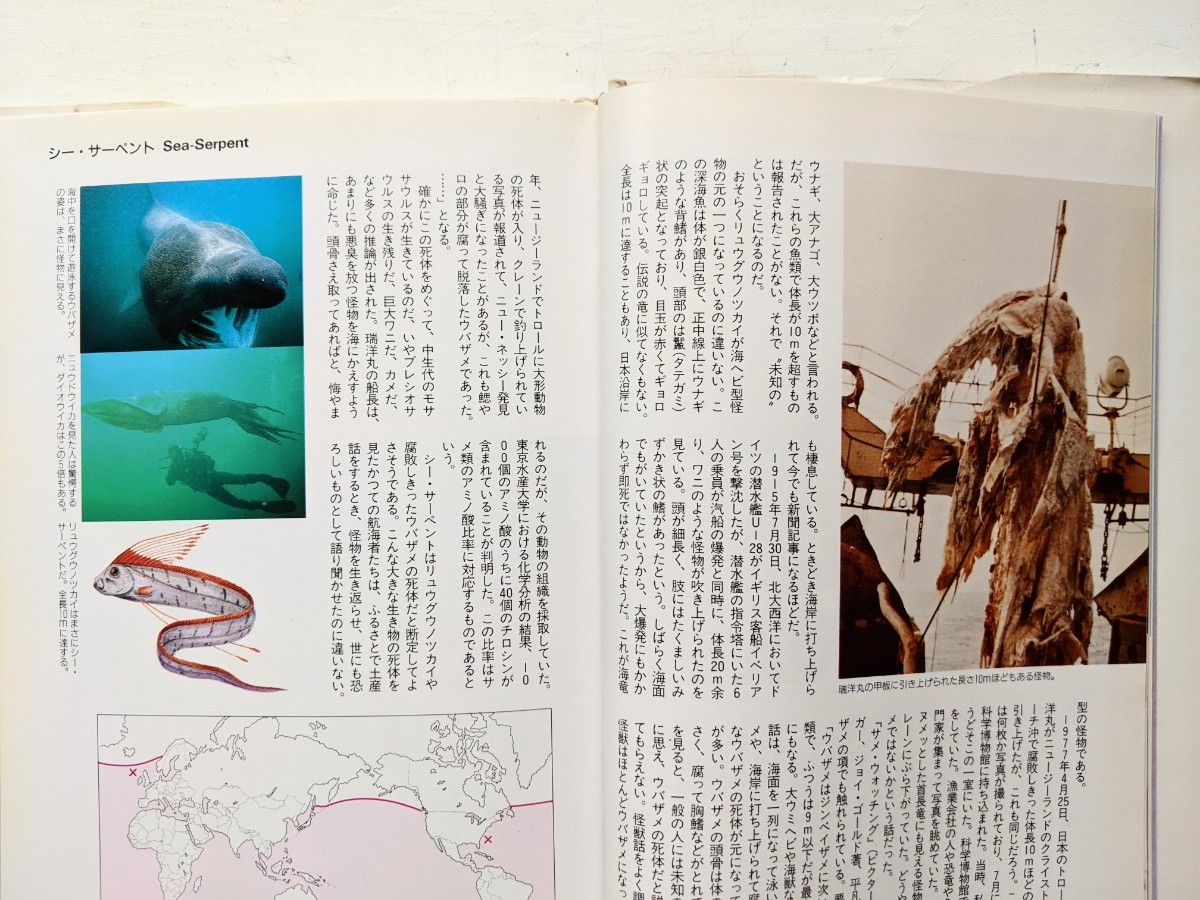 謎の動物の百科 今泉忠明 著 データハウス 1994年|Yahoo!フリマ 謎の動物の百科 今泉忠明 著 データハウス 1994年|Yahoo!フリマ
