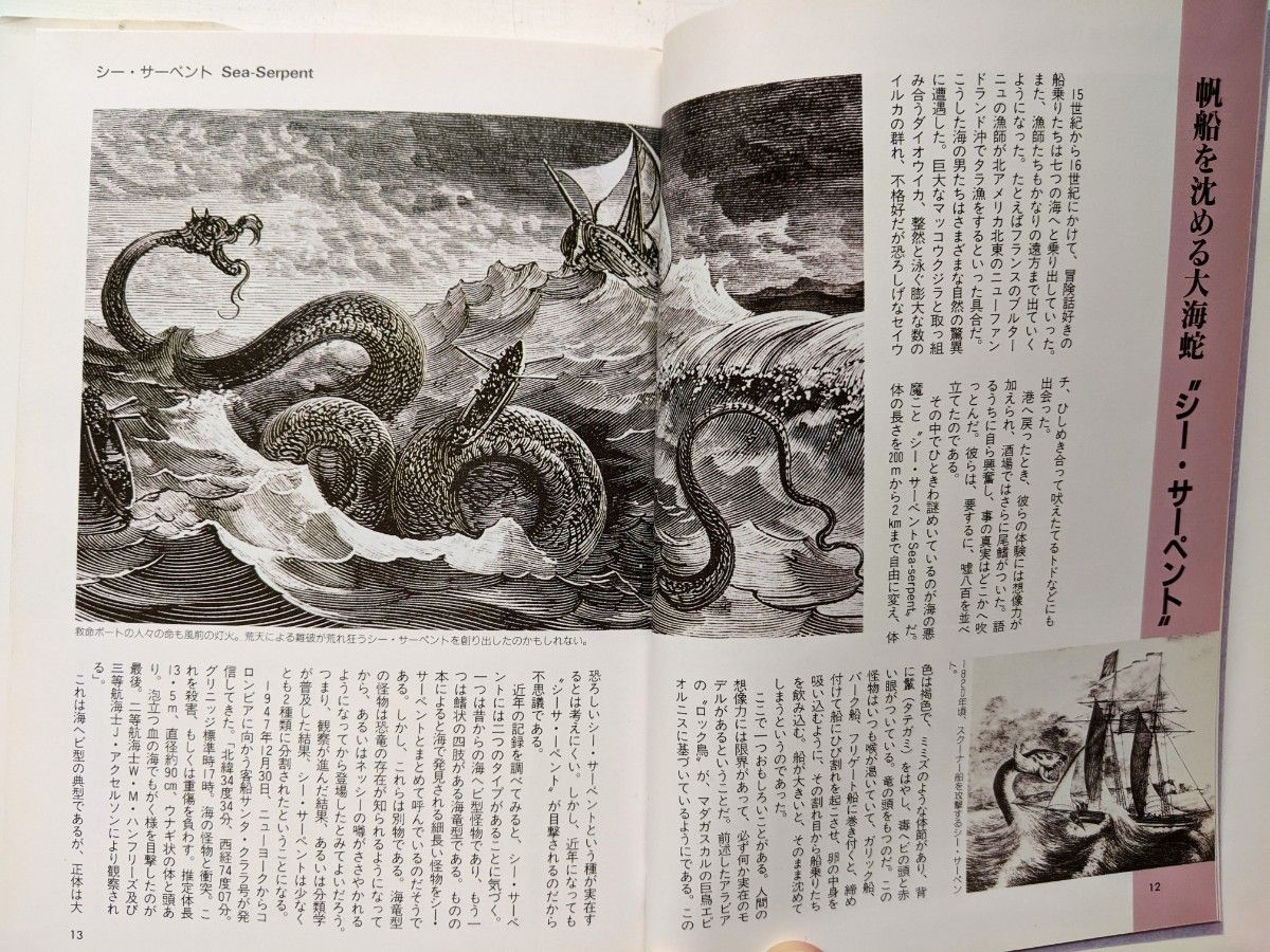 謎の動物の百科 今泉忠明 著 データハウス 1994年|Yahoo!フリマ 謎の動物の百科 今泉忠明 著 データハウス 1994年|Yahoo!フリマ