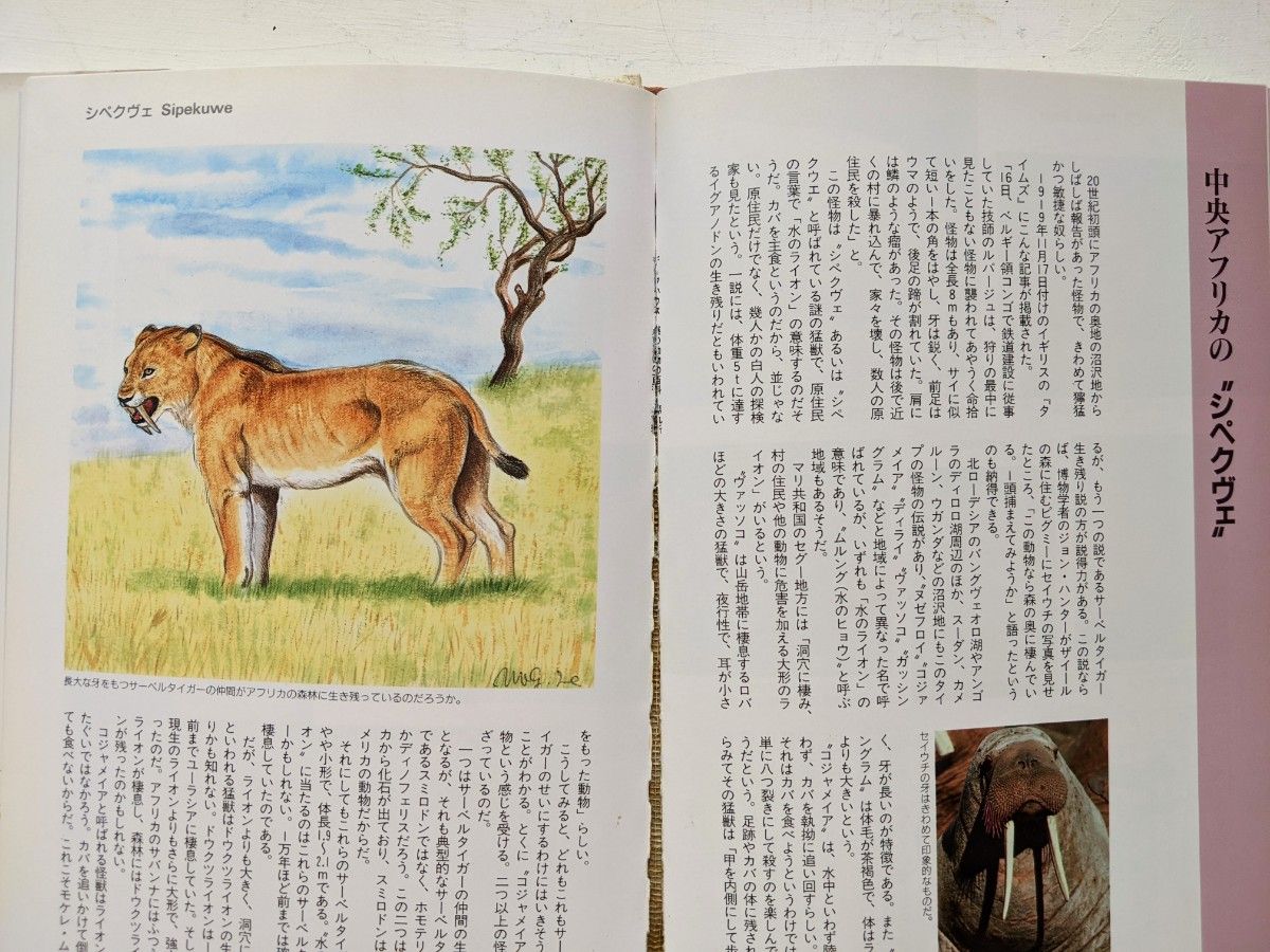 謎の動物の百科 今泉忠明 著 データハウス 1994年|Yahoo!フリマ 謎の動物の百科 今泉忠明 著 データハウス 1994年|Yahoo!フリマ