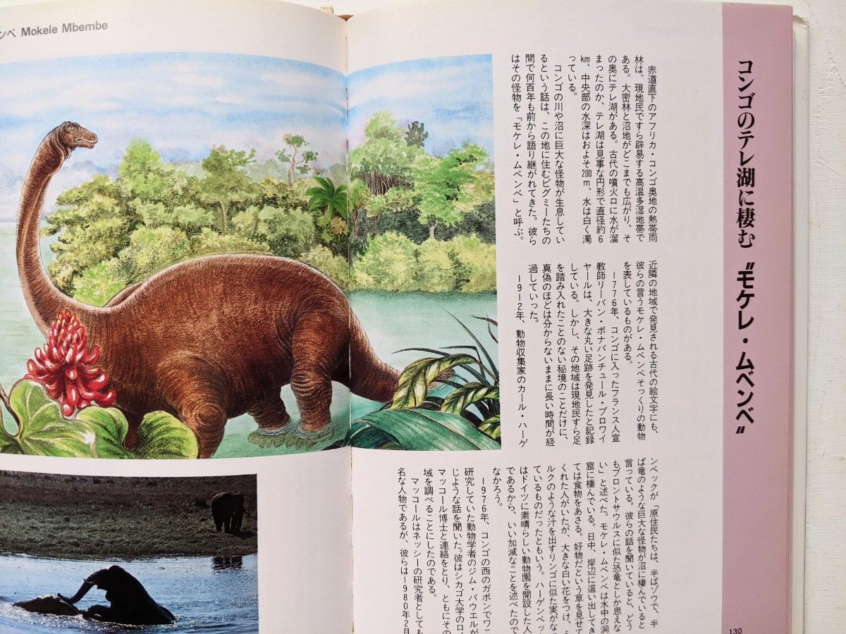 謎の動物の百科 今泉忠明 著 データハウス 1994年|Yahoo!フリマ 謎の動物の百科 今泉忠明 著 データハウス 1994年|Yahoo!フリマ