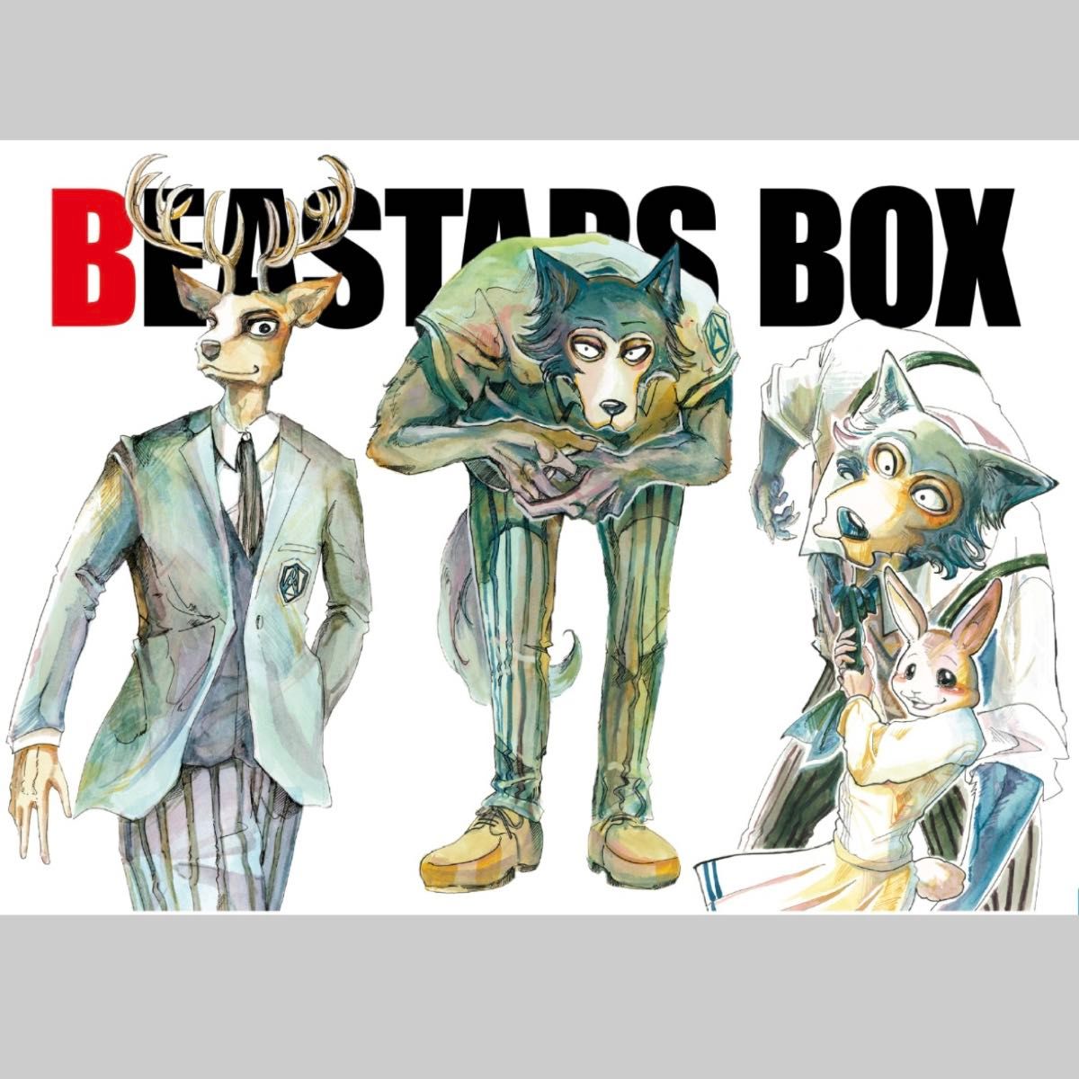 専用出品 BEASTARS ビースターズ 全巻収納BOX 10巻BOX 漫画 専用出品 BEASTARS ビースターズ 全巻収納BOX 10巻BOX 漫画