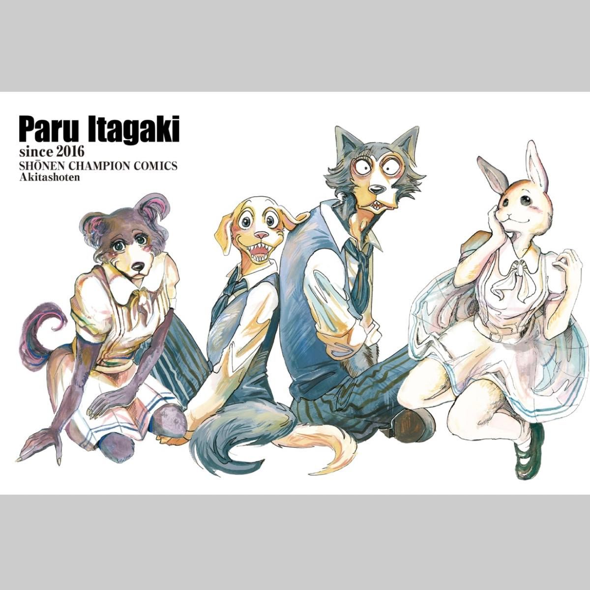 専用出品 BEASTARS ビースターズ 全巻収納BOX 10巻BOX 漫画 専用出品 BEASTARS ビースターズ 全巻収納BOX 10巻BOX 漫画