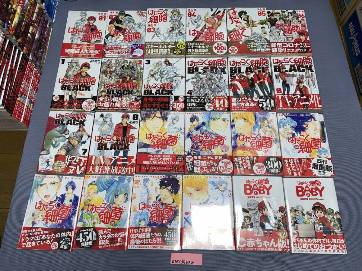 若者に人気のブランド ☆初版 華倫変 高速回線は光うさぎの夢を 若者に人気のブランド ☆初版 華倫変 高速回線は光うさぎの夢を