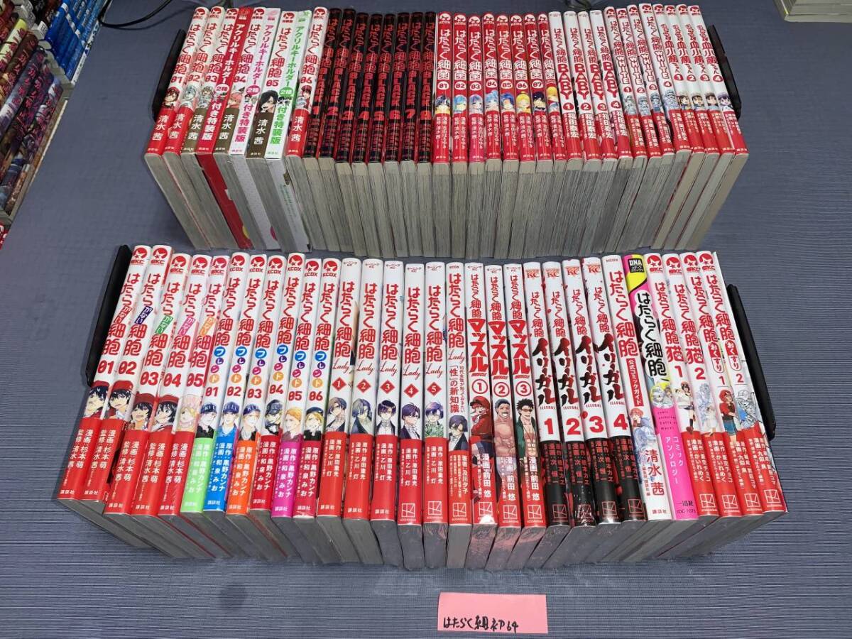 はたらく細胞 64冊(初版・帯)|Yahoo!フリマ(旧PayPayフリマ) はたらく細胞 64冊(初版・帯)|Yahoo!フリマ(旧PayPayフリマ)