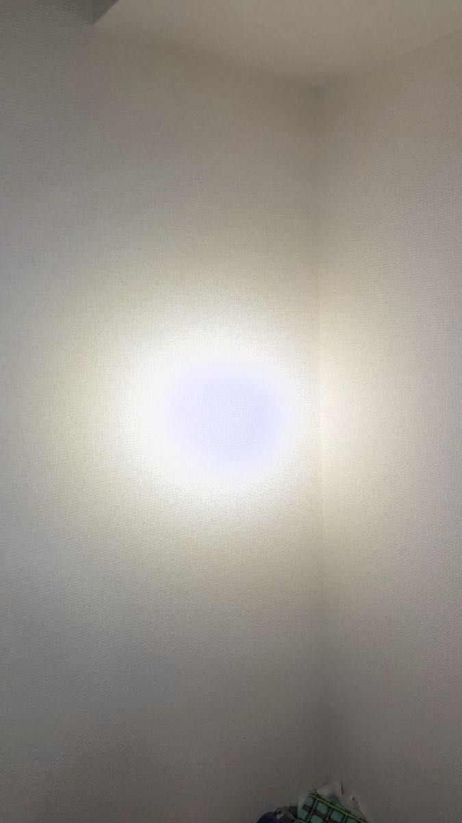 1,000円OFF! IEC防爆モデル:ストリームライト >プロポリマーシリーズ >3AAプロポリマーHazLo 7LED