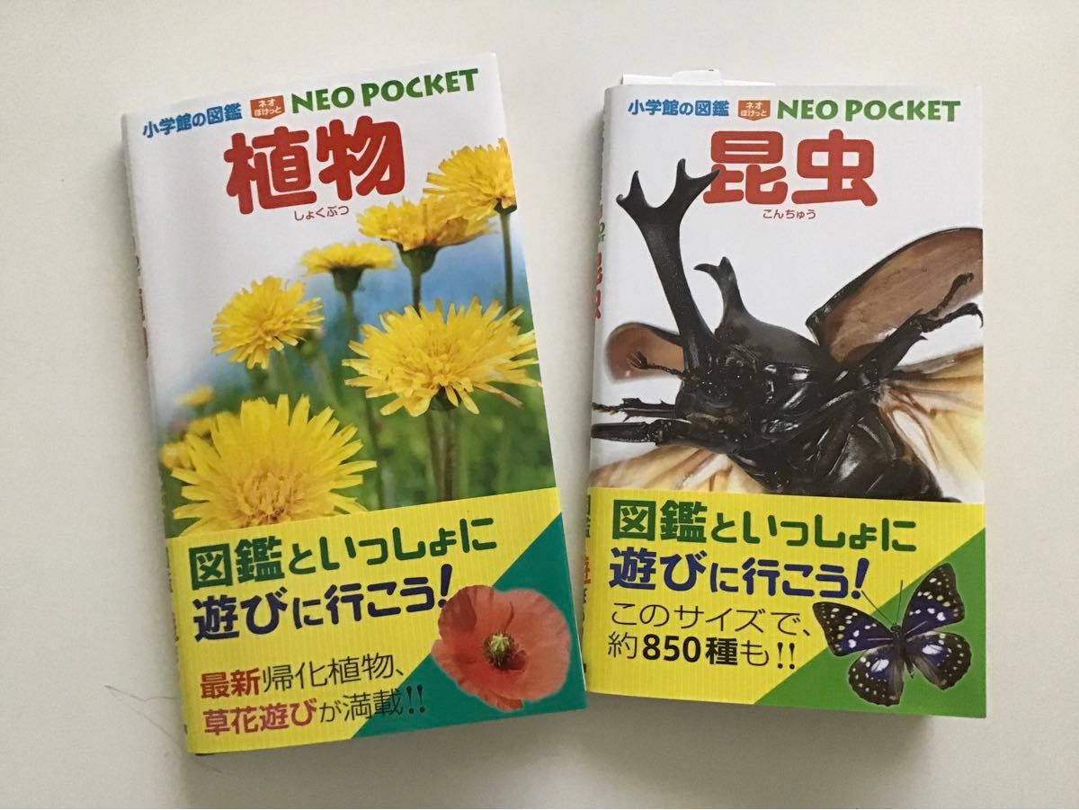 小学館の図鑑 NEO POCKET 昆虫 植物 2冊セット ネオポケット 小学館の図鑑 NEO POCKET 昆虫 植物 2冊セット ネオポケット