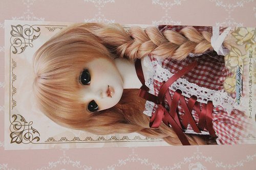 SDGIRL/リーゼロッテ 1st U-23-11-22-220-TN-ZU スーパードルフィー SDGIRL/リーゼロッテ 1st U-23-11-22-220-TN-ZU スーパードルフィー