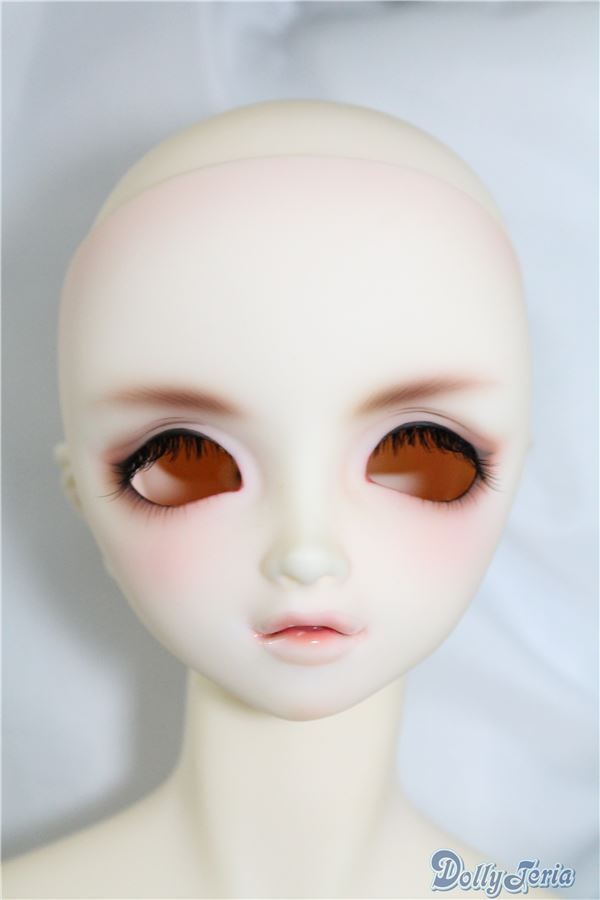 その他 LUTS/Super Senior Delf ECLIPSE HEAD I-24-11-24-1092 その他 LUTS/Super Senior Delf ECLIPSE HEAD I-24-11-24-1092