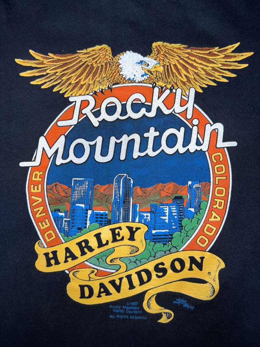 HARLEY DAVIDSON スカル Tシャツ ハーレー ヴィンテージ 80s HARLEY DAVIDSON スカル Tシャツ ハーレー ヴィンテージ 80s