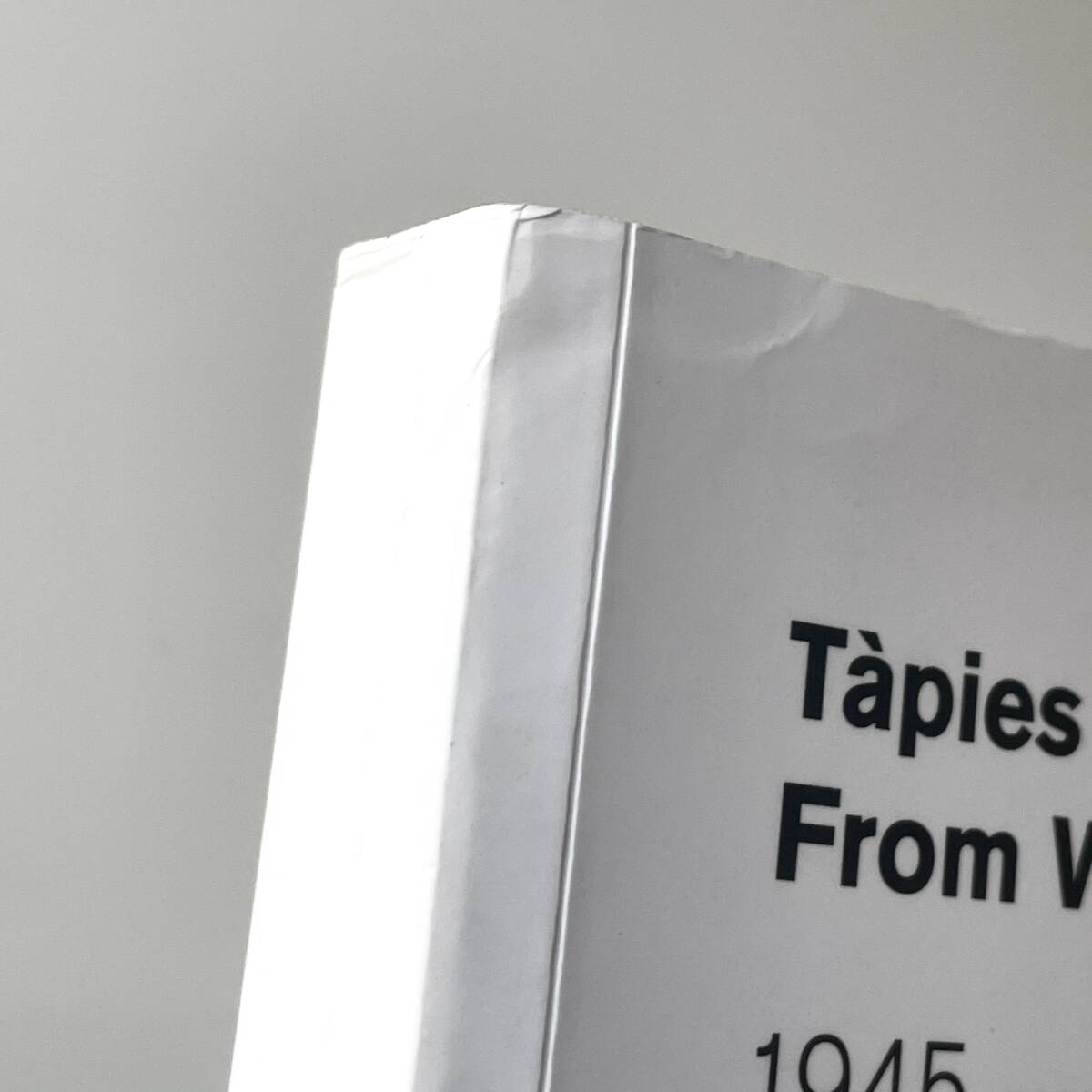激レア】Tapies from Within 1945-2011 タピエス作品集 写真集 激レア】Tapies from Within 1945-2011 タピエス作品集 写真集