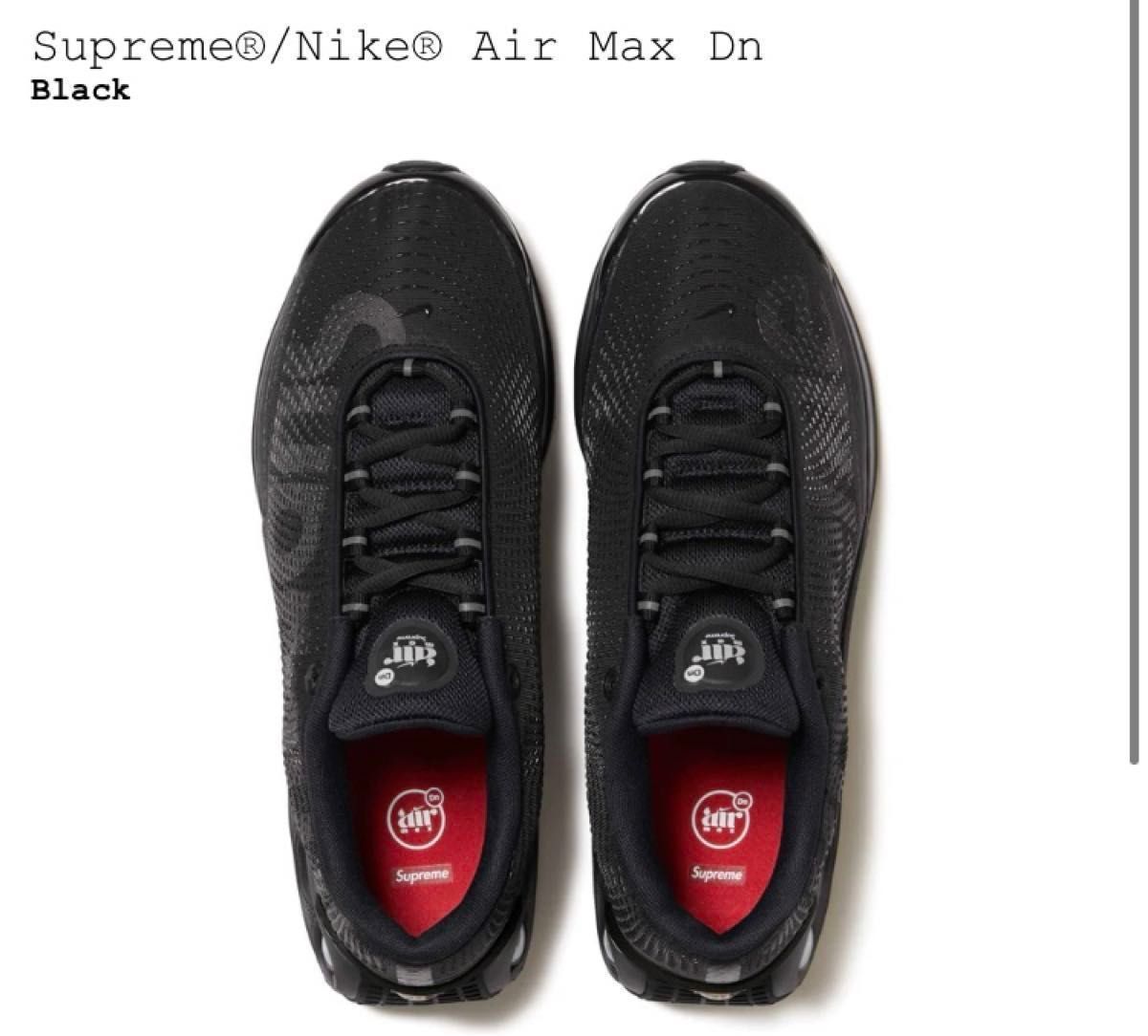 Supreme×Nike Air Max DN Black/Galactic Jade シュプリーム Supreme×Nike Air Max DN Black/Galactic Jade シュプリーム