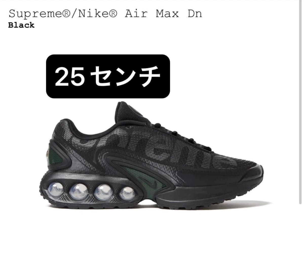 Supreme×Nike Air Max DN Black/Galactic Jade シュプリーム Supreme×Nike Air Max DN Black/Galactic Jade シュプリーム