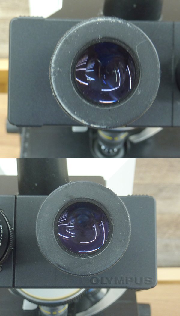CARL ZEISS 最高級顕微鏡 No.91148(Amazon.co.jp: SWIFT EC5R CARL ZEISS 最高級顕微鏡 No.91148(Amazon.co.jp: SWIFT EC5R