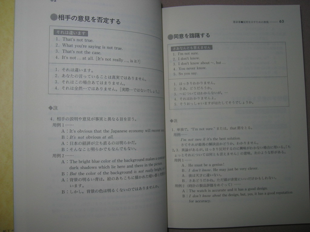 ★英語の議論によく使う表現　　主義主張の英会話　１２６９文例 よいスピーチのＶＳＯＰ ★創元社 定価：￥2,300 _画像6