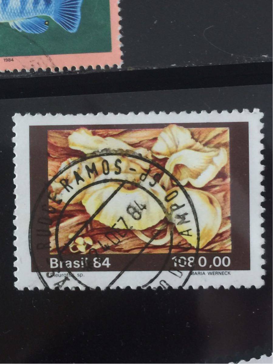  Brazil stamp 1984 year * Pleurotus( meal insect plant?)