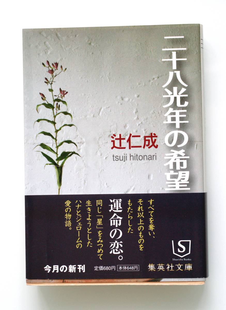 B21 two 10 . light year. hope Tsuji Jinsei Shueisha Bunko used beautiful book