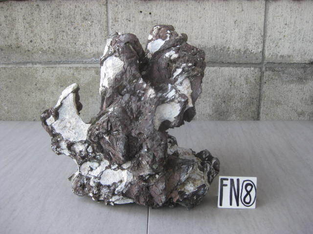 石付け盆栽用 龍岩石 26㎝×29㎝ (13 2㎏) 中古 FN‐⑧ 石付け盆栽 石付け盆栽用 龍岩石 26㎝×29㎝ (13 2㎏) 中古 FN‐⑧ 石付け盆栽