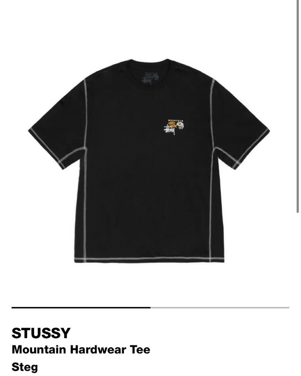 新品 未着用】ステューシーxマウンテンハードウェア Tシャツ M 新品 未着用】ステューシーxマウンテンハードウェア Tシャツ M