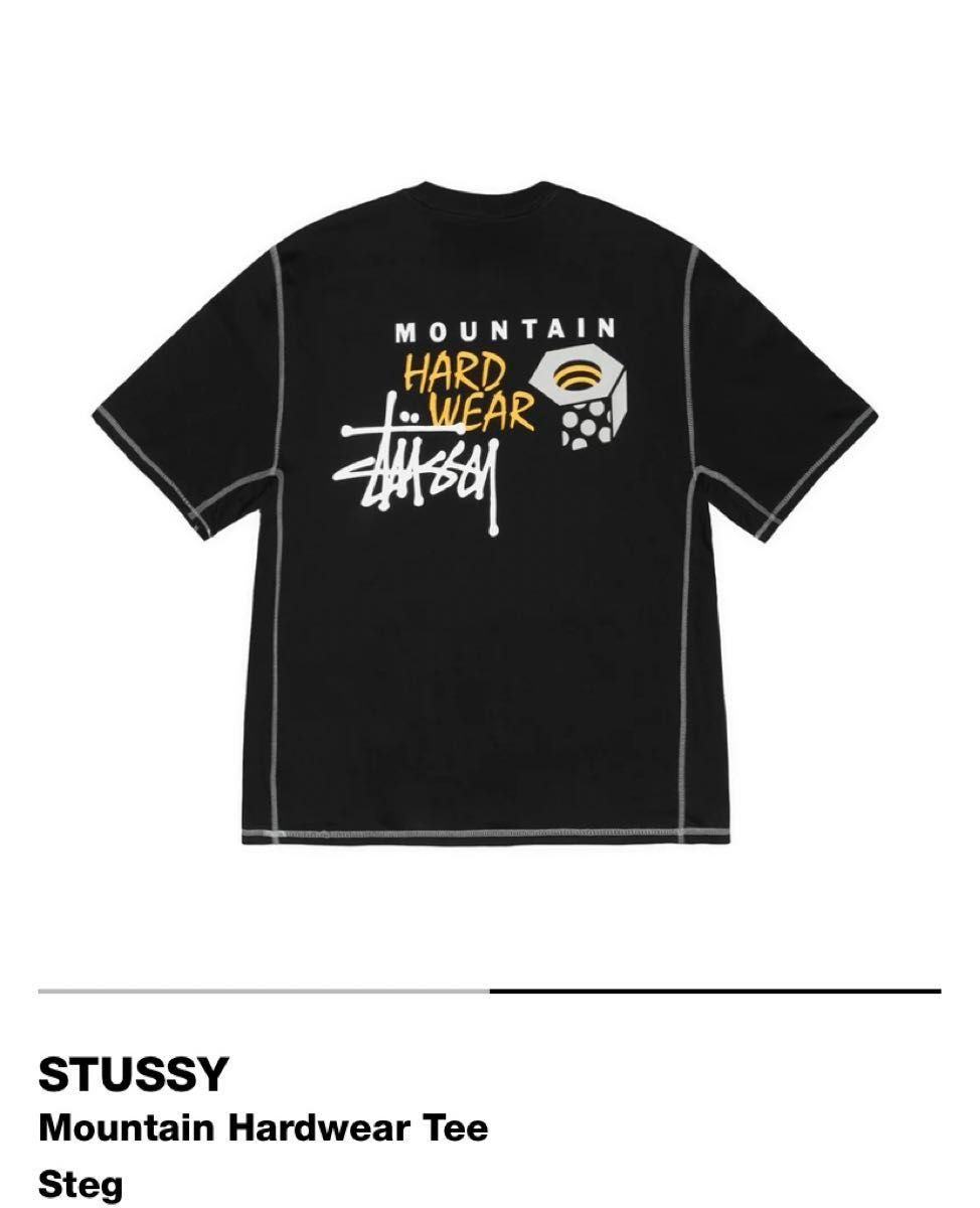 新品 未着用】ステューシーxマウンテンハードウェア Tシャツ M 新品 未着用】ステューシーxマウンテンハードウェア Tシャツ M