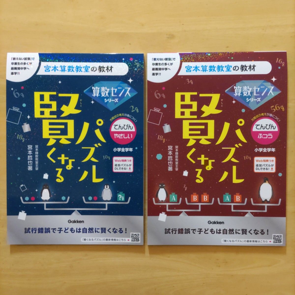 Gakken 宮本算数教室の教材 賢くなるパズル算数センスシリーズ Gakken 宮本算数教室の教材 賢くなるパズル算数センスシリーズ