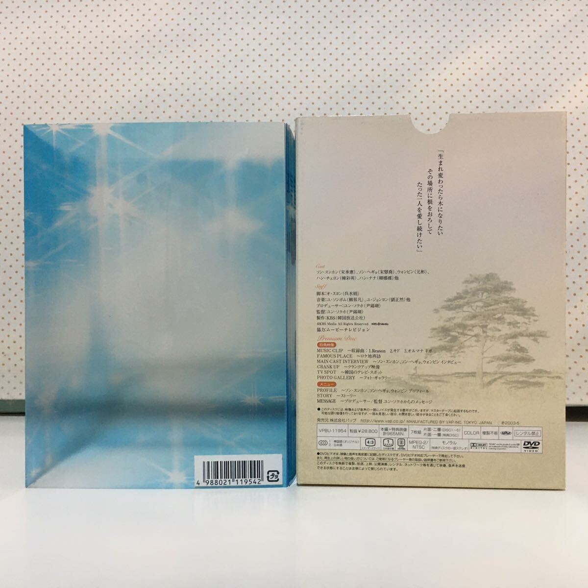 中古 DVD「秋の童話 Autumn in My Heart オータムインマイハート