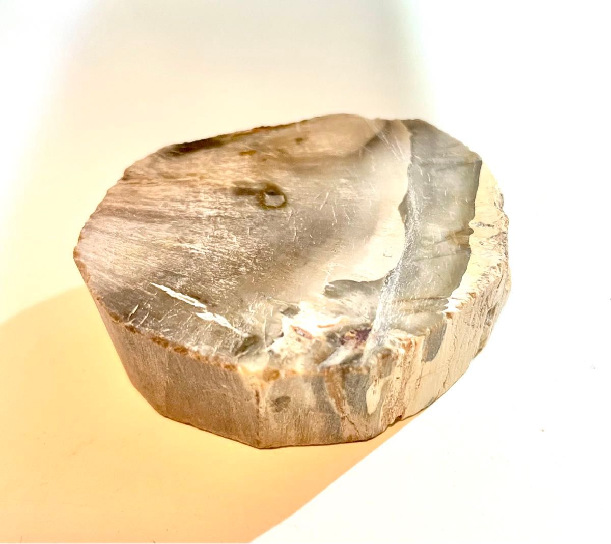マダガスカル産 シリカウッド 珪化木 木の化石 年輪化石 天然石 マダガスカル産 シリカウッド 珪化木 木の化石 年輪化石 天然石