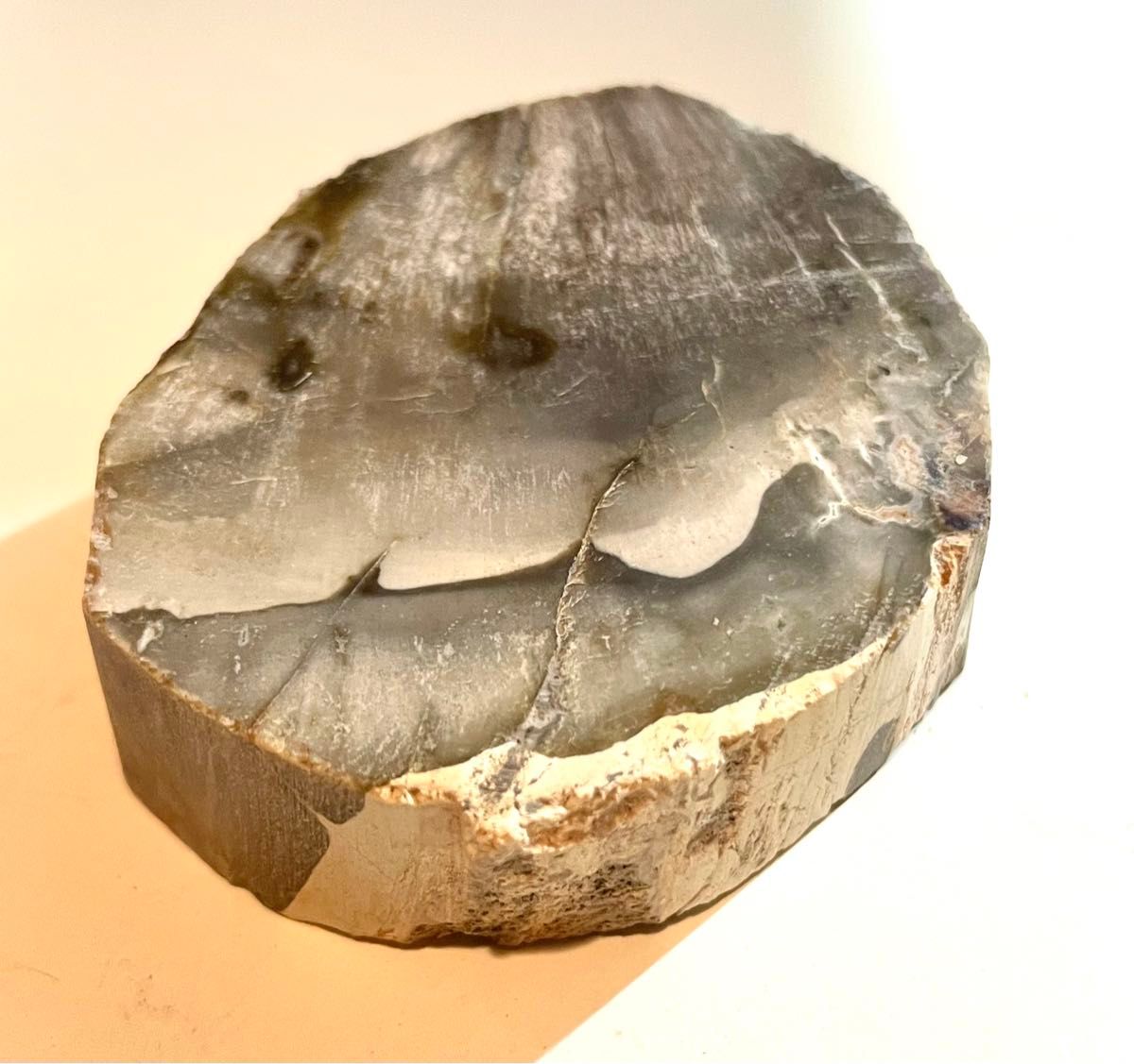 マダガスカル産 シリカウッド 珪化木 木の化石 年輪化石 天然石 マダガスカル産 シリカウッド 珪化木 木の化石 年輪化石 天然石