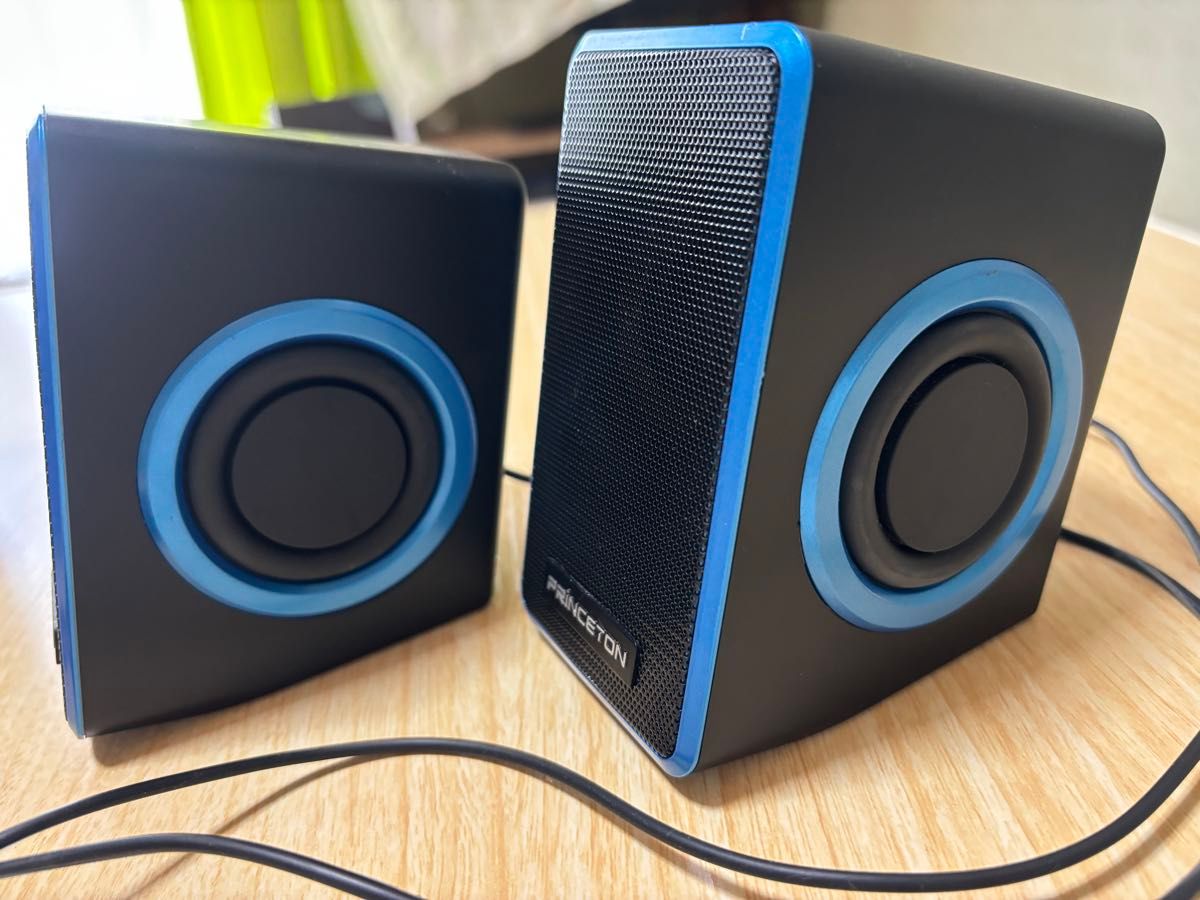 廃盤品】PRINCETON PCスピーカー デュアルパッシブラジエーター 廃盤品】PRINCETON PCスピーカー デュアルパッシブラジエーター
