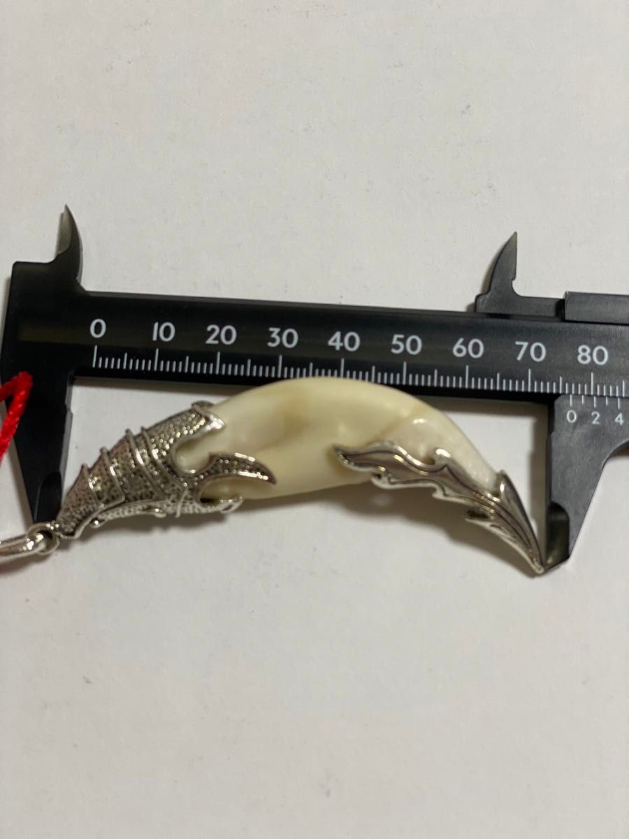 熊牙 ツキノワグマ熊の牙 ネックレス キーホルダー|Yahoo 熊牙 ツキノワグマ熊の牙 ネックレス キーホルダー|Yahoo