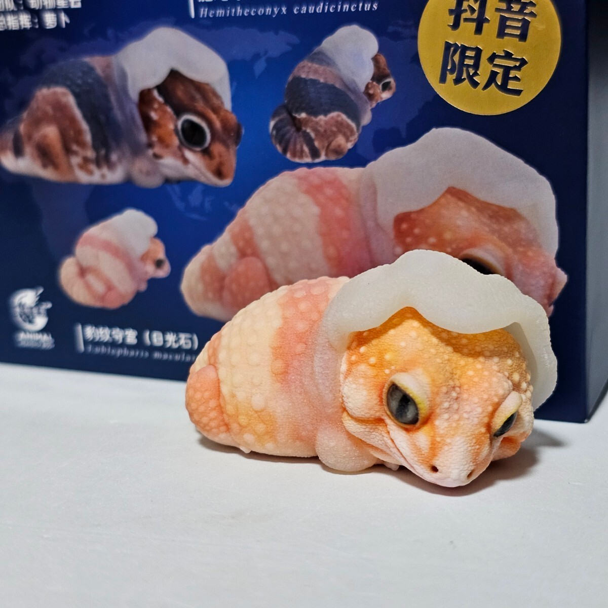 Yahoo!オークション - 動物の惑星 ヒョウモントカゲモドキ(脱皮 Yahoo!オークション - 動物の惑星 ヒョウモントカゲモドキ(脱皮