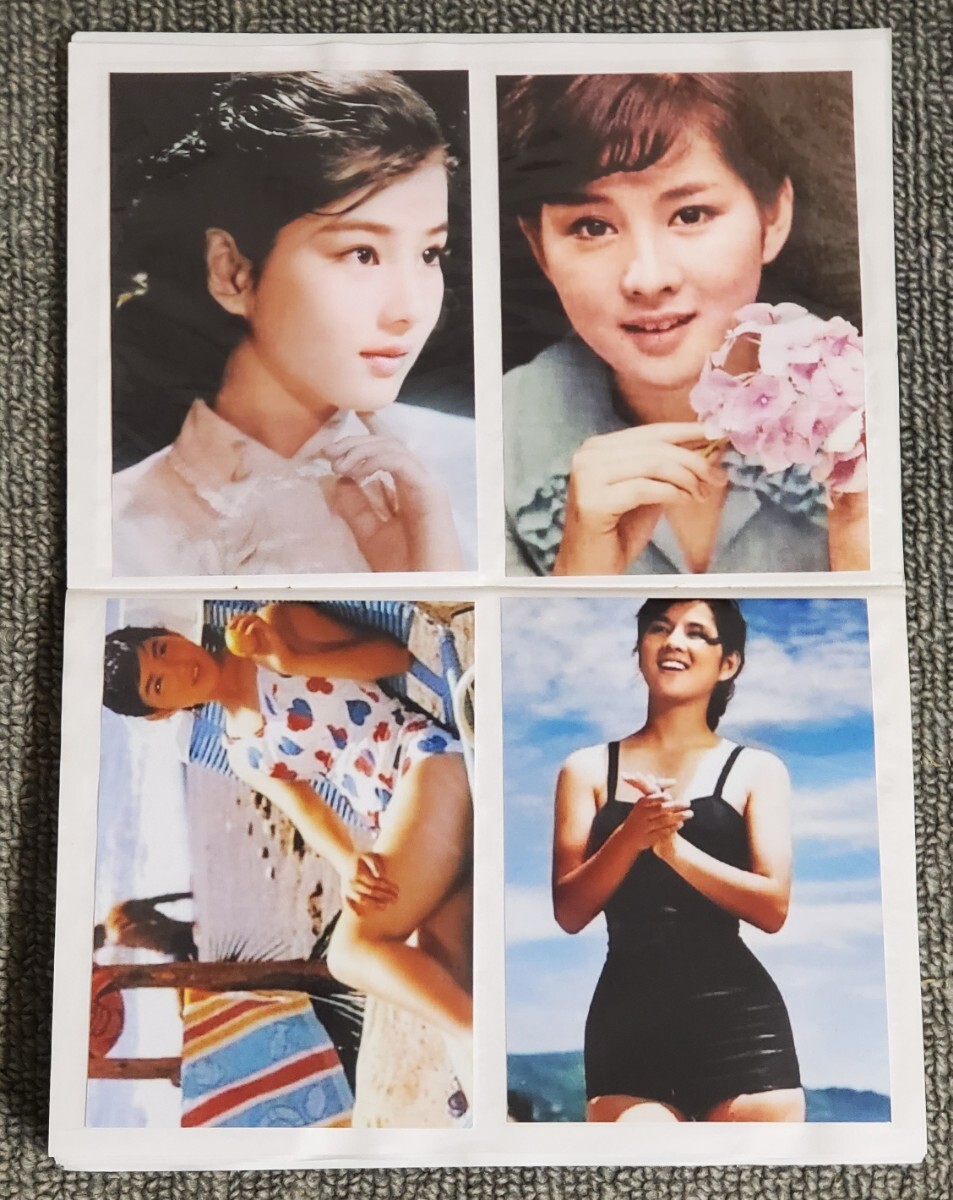 吉永小百合さんの写真(Lサイズ)35枚とアルバム 写真 吉永小百合さんの写真(Lサイズ)35枚とアルバム 写真