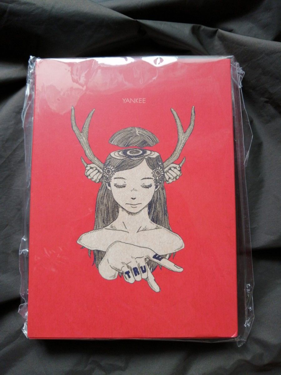 YANKEE 初回限定生産 画集盤 米津玄師|Yahoo!フリマ(旧PayPay YANKEE 初回限定生産 画集盤 米津玄師|Yahoo!フリマ(旧PayPay
