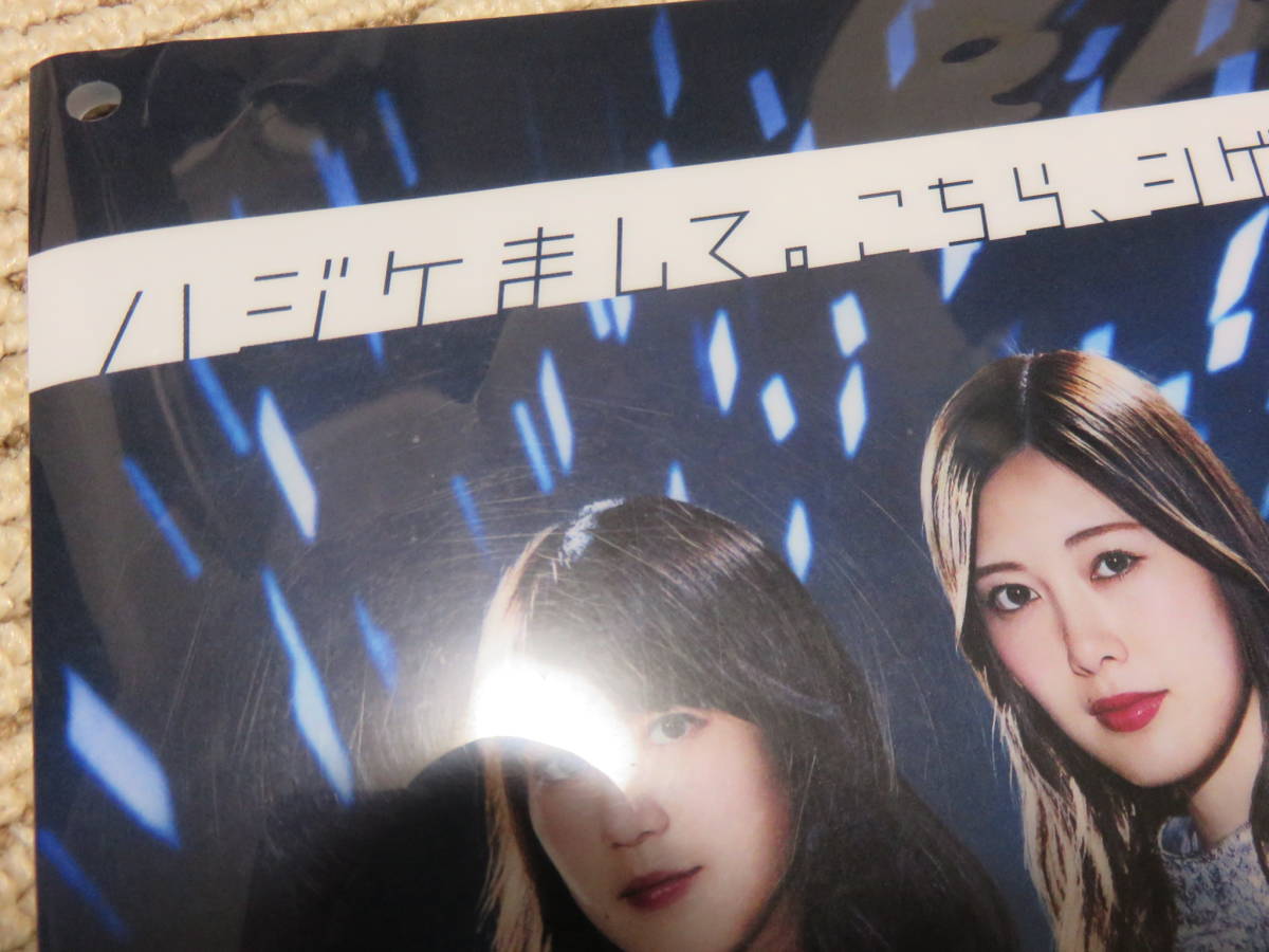 即決】乃木坂46 フィットチーネグミクリアファイル西野七瀬白石麻衣