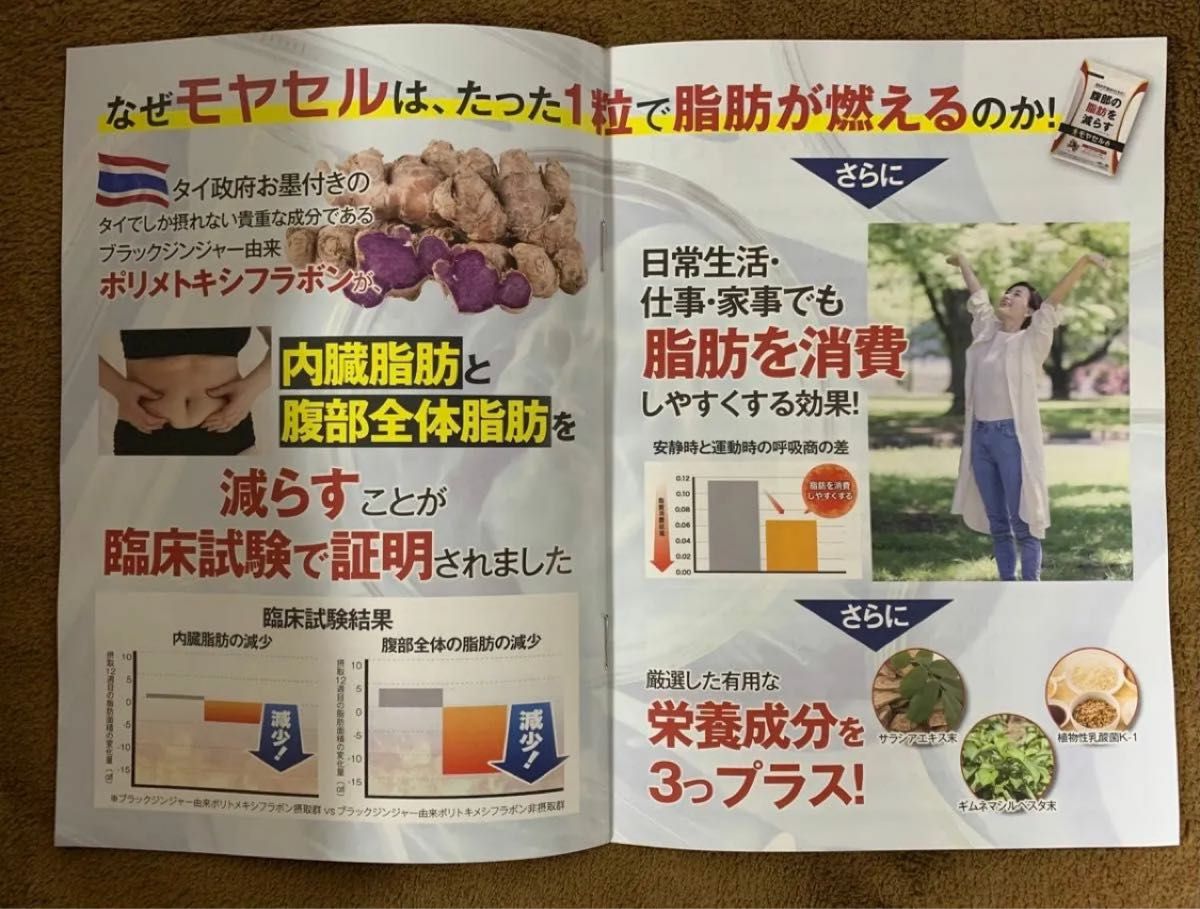 モヤセル 30粒30日 BMIが高めの方の腹部の脂肪を減らす 内臓脂肪 モヤセル 30粒30日 BMIが高めの方の腹部の脂肪を減らす 内臓脂肪