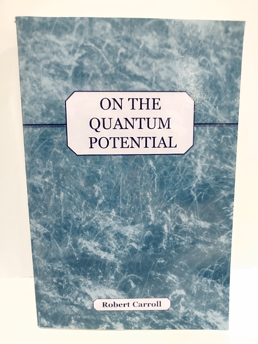 On the Quantum Potential 量子ポテンシャル　洋書/英語/ボーム解釈/量子ゆらぎ/フラクタル構造/量子力学/フィッシャー情報量【ac03l】
